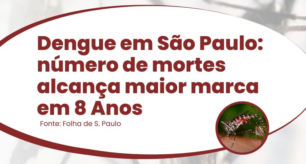 Dengue em São Paulo: número de mortes alcança maior marca em 8 anos