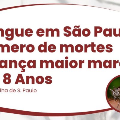 Dengue em São Paulo: número de mortes alcança maior marca em 8 anos